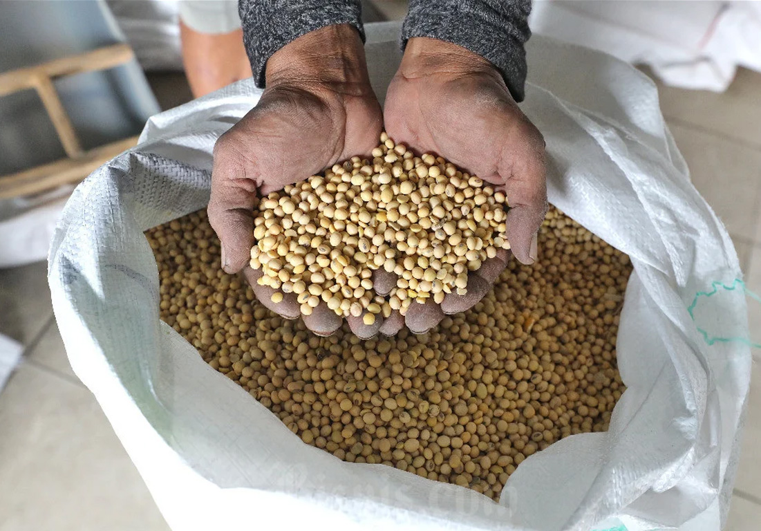 Harga Kedelai Naik, Pemerintah Siapkan Subsidi Rp2.000 per Kg untuk Perajin Tahu dan Tempe Harga Kedelai Naik, Pemerintah Siapkan Subsidi Rp2.000 per Kg untuk Perajin Tahu dan Tempe