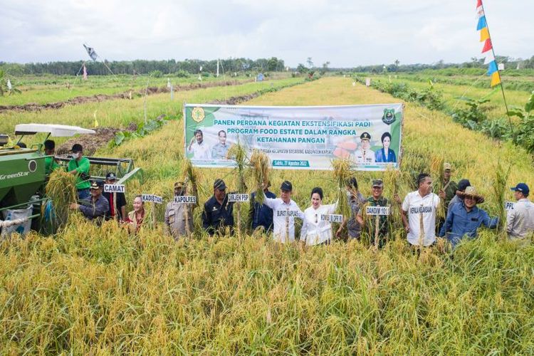 Bappenas: Swasembada Pangan Menjadi Dasar Transformasi Ekonomi Indonesia