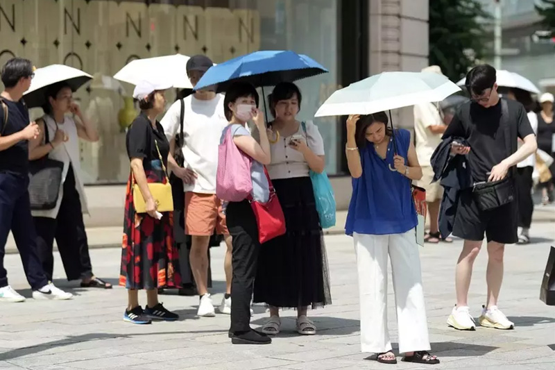 Jepang Dilanda Gelombang Panas Ekstrem, Fenomena Kokushobi Muncul di Tiga Kota