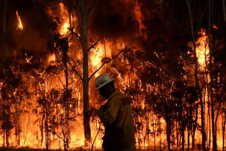 Ratusan Wisatawan Diselamatkan Saat Kebakaran Hutan Landa Pesisir Italia
