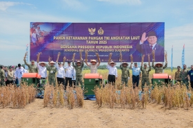 Pemerintah Perluas Fokus Swasembada Pangan, Gula dan Kedelai Jadi Prioritas Berikutnya